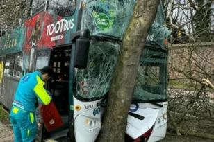 Βρυξέλλες: Τουριστικό λεωφορείο προσέκρουσε σε δέντρο - 22 τραυματίες, πέντε σοβαρά