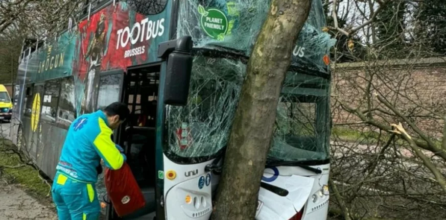 Βρυξέλλες,λεωφορείο,δέντρο,τραυματίες
