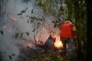 Μεξικό: 126 πυρκαγιές μαίνονται στη χώρα – Τουλάχιστον 4 νεκροί – ΦΩΤΟ