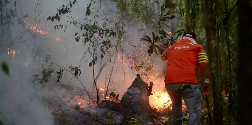 Μεξικό: 126 πυρκαγιές μαίνονται στη χώρα - Τουλάχιστον 4 νεκροί - ΦΩΤΟ