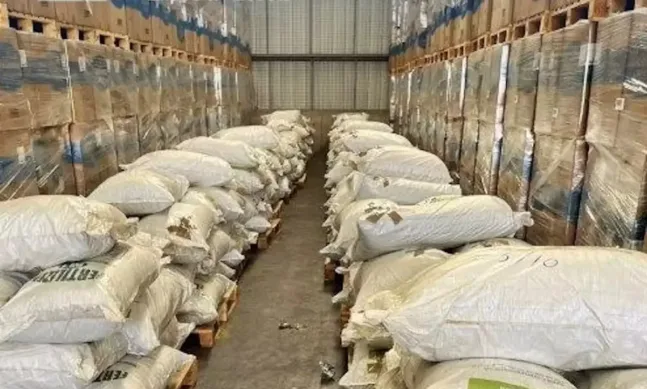 ΑΑΔΕ: Ελεγκτές εντόπισαν μεγάλη ποσότητα φύλλων κοκαΐνης σε φορτία λιπασμάτων