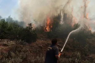 Προσύμνη Αργολίδας: Φωτιά σε δασική έκταση