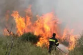 Πάτρα: Σύλληψη και πρόστιμο για φωτιά στη Βούντενη