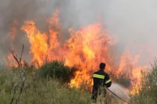 Φωτιά στη Ζαχάρω, κοντά σε κατοικημένη περιοχή ΦΩΤΟ – ΒΙΝΤΕΟ