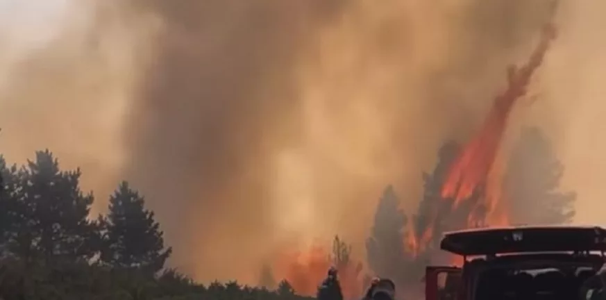 Πυροσβεστική: Συνολικά 88 αγροτοδασικές πυρκαγιές το τελευταίο 24ωρο