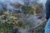 Μεσολόγγι: «Καμπάνα» για φωτιά στην ύπαιθρο