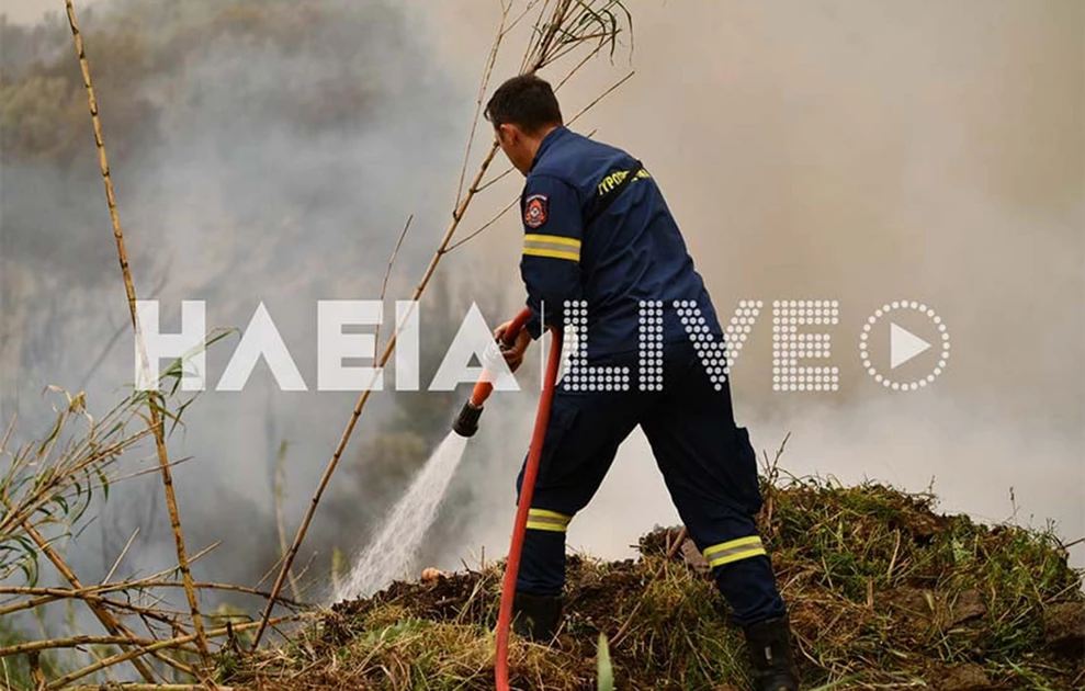 Φωτιά στη Ζαχάρω, κοντά σε κατοικημένη περιοχή ΦΩΤΟ - ΒΙΝΤΕΟ