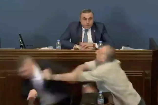 Γεωργία: Άγριο ξύλο μεταξύ βουλευτών στο κοινοβούλιο - ΒΙΝΤΕΟ