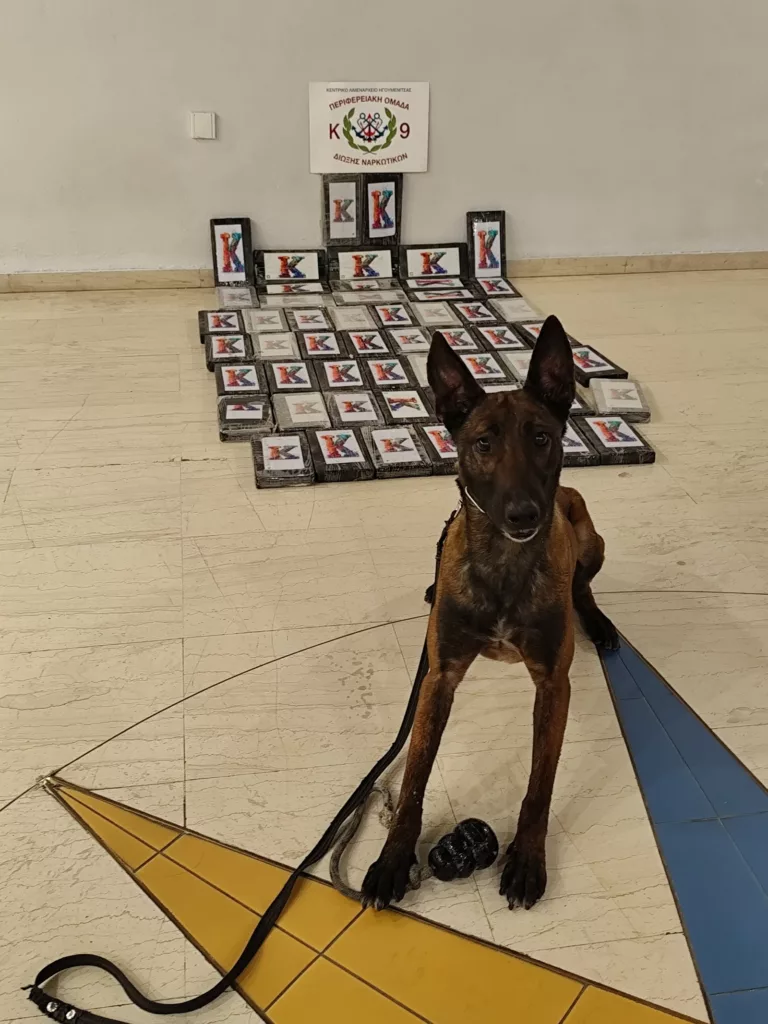 Ηγουμενίτσα: Κοκαΐνη αξίας 2 εκατ. ευρώ «ξετρύπωσε» ο σκύλος του Λιμενικού Βλαντ ΦΩΤΟ-ΒΙΝΤΕΟ