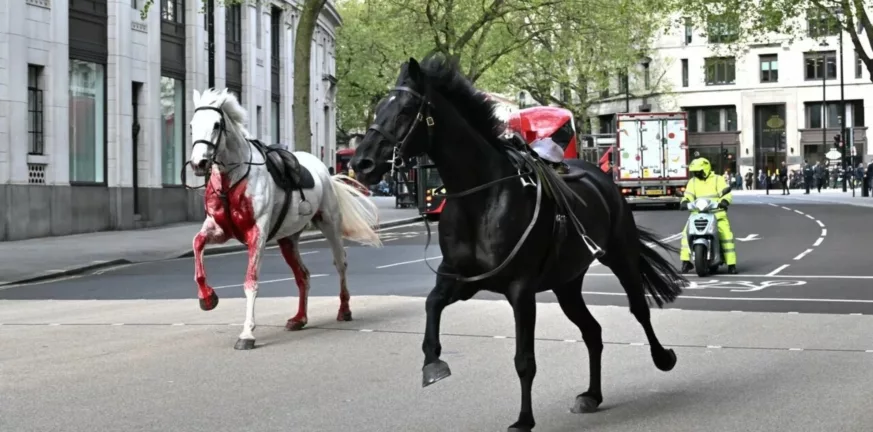Λονδίνο: Σε σοβαρή κατάσταση τα άλογα που έτρεχαν ανεξέλεγκτα στους δρόμους ΒΙΝΤΕΟ