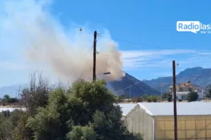 Κρήτη: Οριοθετήθηκε η πυρκαγιά στην Ιεράπετρα - Οι δυνάμεις της Πυροσβεστικής παραμένουν