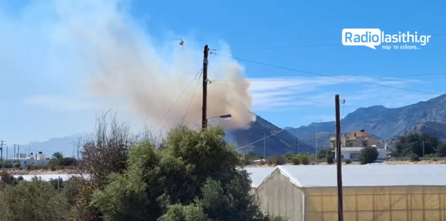 Κρήτη: Οριοθετήθηκε η πυρκαγιά στην Ιεράπετρα - Οι δυνάμεις της Πυροσβεστικής παραμένουν
