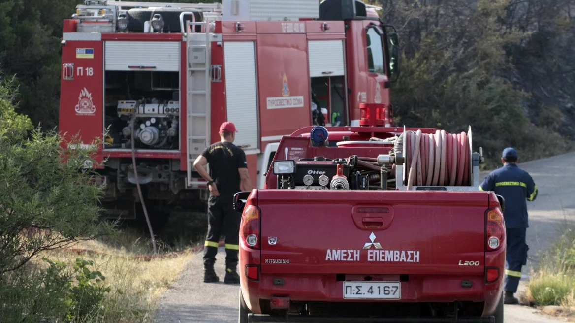 Flames of Despair: A Mother’s Devastation Amidst Her Son’s Arson Allegations