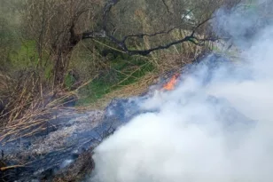 Αχαΐα: «Καμπάνες» 2.500€ για καύση στην ύπαιθρο - Γεγονός τα πρώτα πρόστιμα - Μια σύλληψη για φωτιά