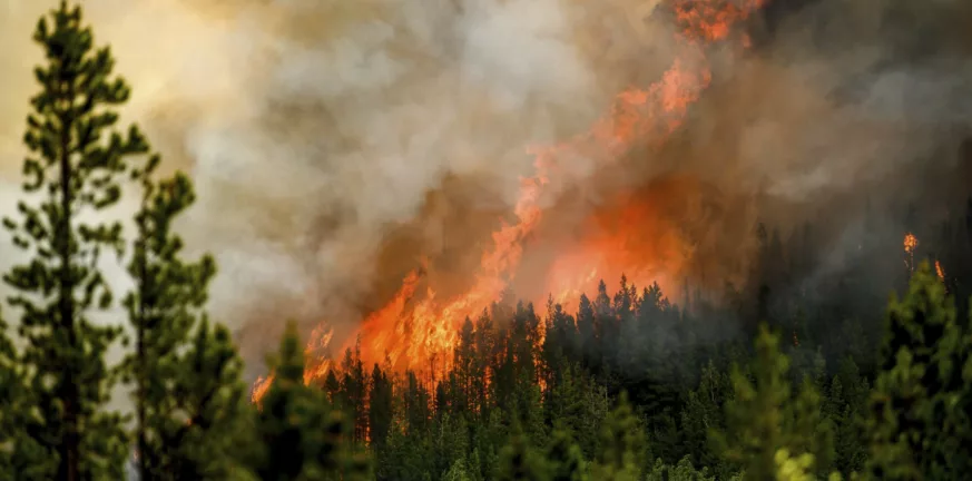 Ο Καναδάς αντιμέτωπος με τις πρώτες πυρκαγιές της χρονιάς