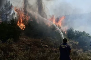 Υπό μερικό έλεγχο η πυρκαγιά στη Λακωνία