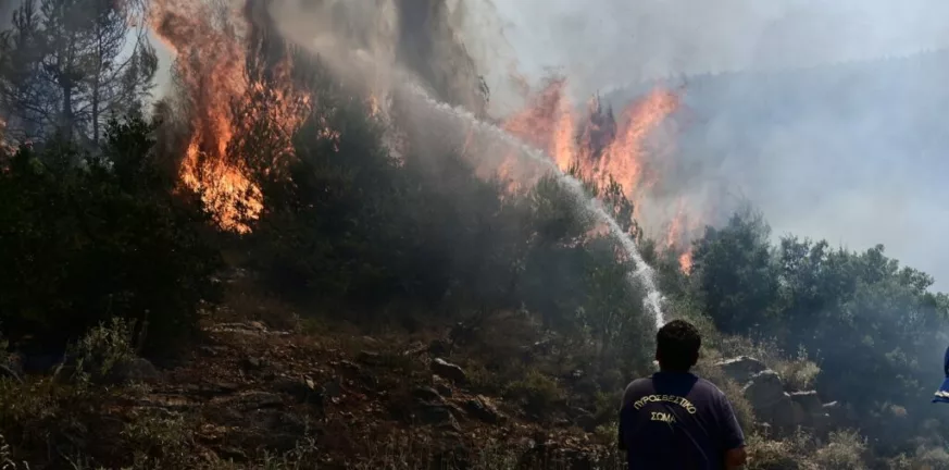 Υπό μερικό έλεγχο η πυρκαγιά στη Λακωνία