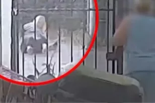 Σαλαμίνα: Σοκαριστικό βίντεο με αστυνομικό εκτός υπηρεσίας που ξυλοκόπησε ζευγάρι