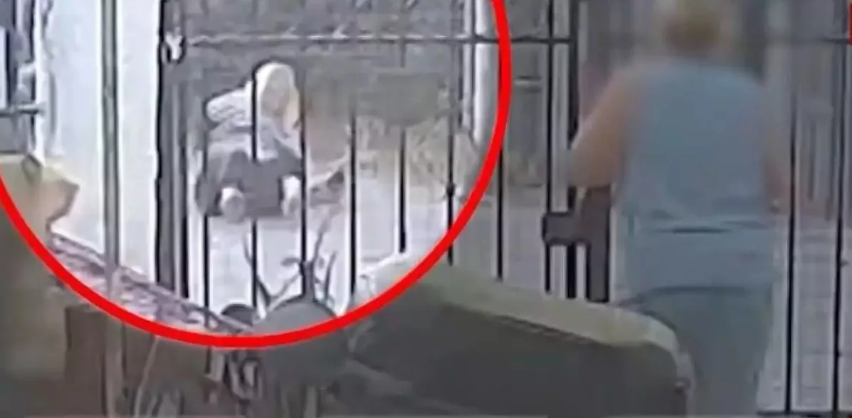 Σαλαμίνα: Σοκαριστικό βίντεο με αστυνομικό εκτός υπηρεσίας που ξυλοκόπησε ζευγάρι