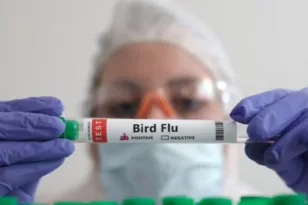 Μαγιορκίνης: Πώς προσβάλει τον οργανισμό η γρίπη των πτηνών και πόσο πιθανό είναι να προκαλέσει πανδημία