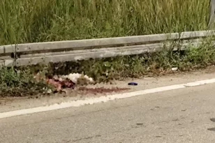 Ευηνοχώρι: Μοτοσικλετιστής συγκρούστηκε με αδέσποτο, σε σοβαρή κατάσταση ο 22χρονος ΦΩΤΟ
