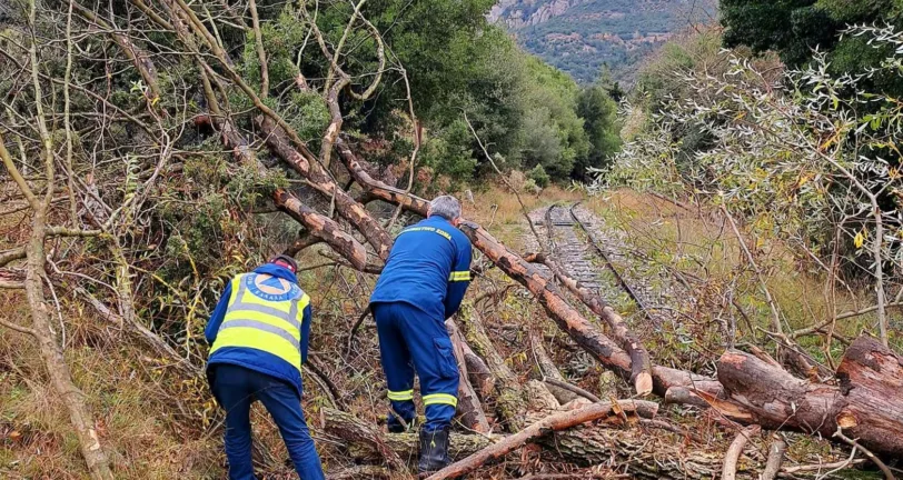 Καλάβρυτα - Οδοντωτός: Το πλατάνι που κατέδειξε την ευαλωτότητα του μέσου