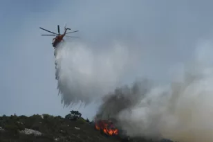 Φωτιά στην Προσύμνη Αργολίδας: Κατευθύνεται προς την Κορίνθια ΒΙΝΤΕΟ