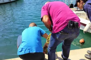 Βόλος: Εντοπίστηκε καρχαριοειδές μήκους 3,5 μέτρων στο λιμάνι ΦΩΤΟ - ΒΙΝΤΕΟ