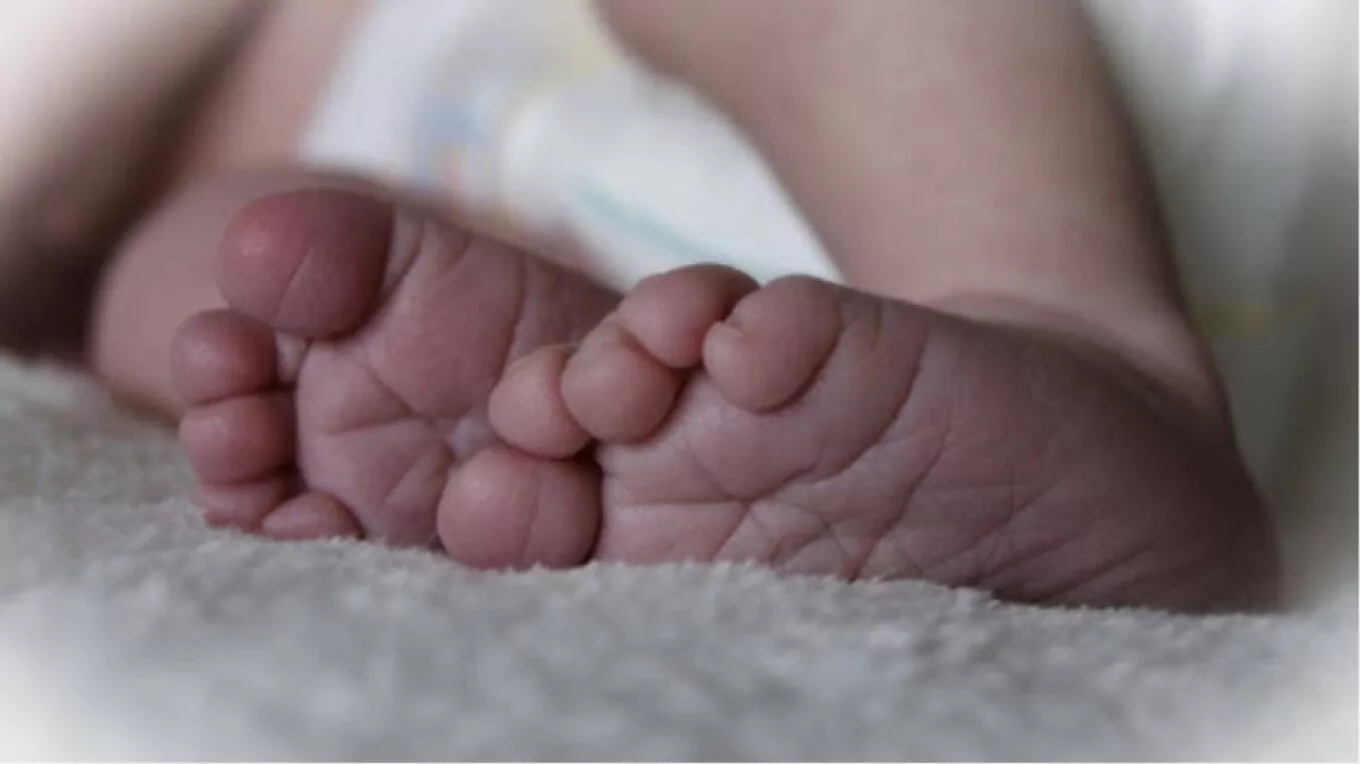 The newborn that his dad and mom threw within the rubbish was born alive
 – 2024-05-15 10:28:16