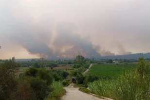Πυρκαγιές: Αρνητικό ρεκόρ καμένων εκτάσεων μέσα στον Ιούνιο, θλιβερή πρωτιά για Αχαΐα-Ηλεία
