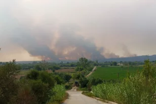 Ηλεία: Μεγάλη πυρκαγιά στο Αλποχώρι κοντά σε σπίτια – Ανησυχεί το μέτωπο