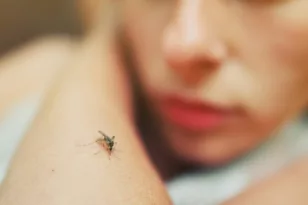 Έξυπνοι τρόποι για να διώξεις τα κουνούπια από το σπίτι
