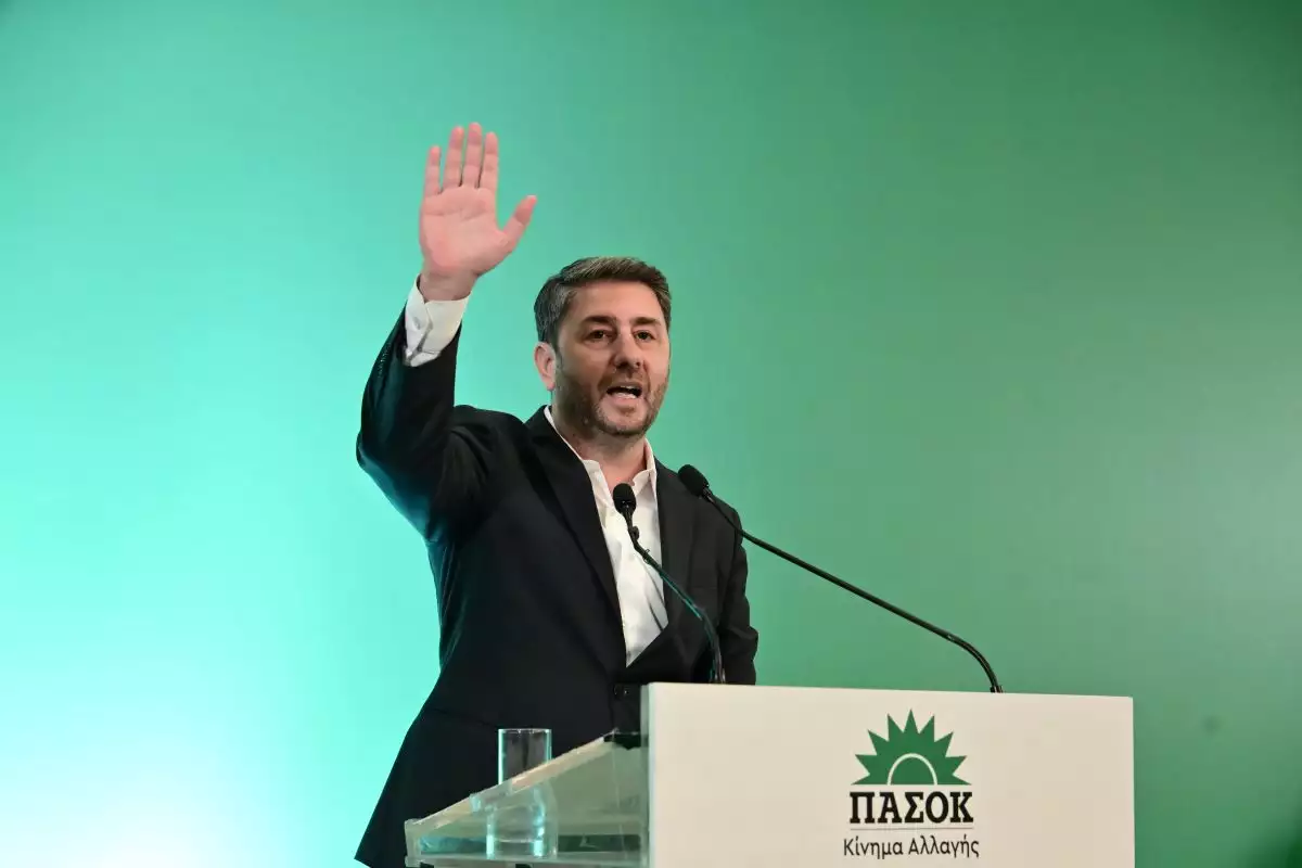 PASOK: “We continue together for even higher”, opened a platform to support Androulaki’s candidacy
 – 2024-07-13 19:47:43