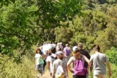 Παναχαϊκό: Έτοιμα τα μονοπάτια πάνω από την Πάτρα – Πού οδηγούν οι 11 διαδρομές