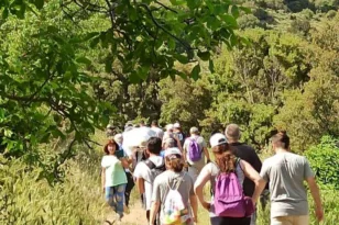 Παναχαϊκό: Έτοιμα τα μονοπάτια πάνω από την Πάτρα – Πού οδηγούν οι 11 διαδρομές