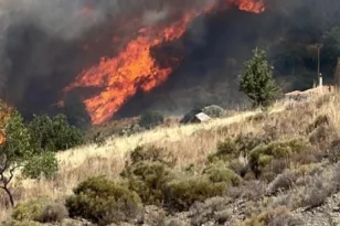 Ναυπακτία: Φωτιά σε δασική έκταση 