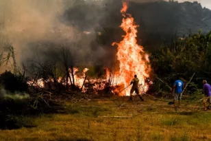 Φωτιά στην Ηλεία: Συνεχίζεται η μάχη με τις φλόγες, διάσπαρτες οι ενεργές εστίες