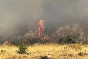 Ζάκυνθος: Ιερέας μίλησε για την φωτιά σε πανηγύρι – «Το ρεζουμέ είναι ότι δεν καήκαμε»