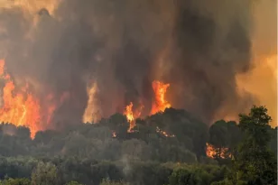 Ολονύχτια μάχη με τη φωτιά στην Ηλεία – Πέφτουν οι άνεμοι, παραμένει υψηλός ο κίνδυνος πυρκαγιάς ΦΩΤΟ – ΒΙΝΤΕΟ