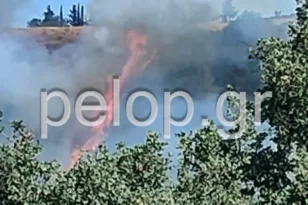 Γουμένισσα Καλαβρύτων: Φωτιά καίει κοντά σε σπίτια, σηκώθηκαν εναέρια μέσα ΦΩΤΟ
