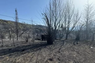 Ο Δήμος Ερυμάνθου προσπαθεί να σταθεί όρθιος: Η καταστροφή που άφησε πίσω της η φωτιά