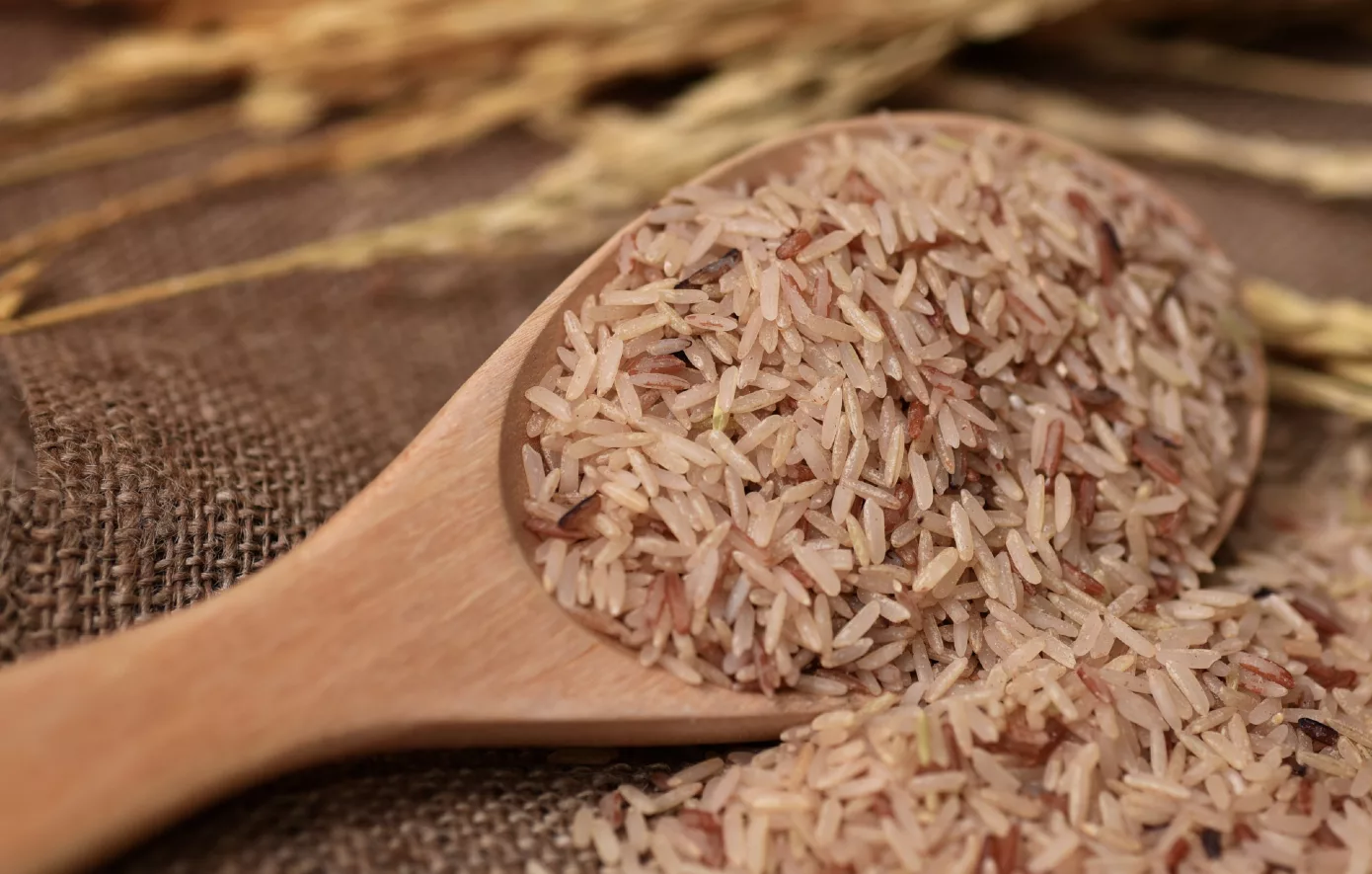 Brown Rice: How Wholesome Is It?  The professionals and cons
 – 2024-06-17 00:01:44