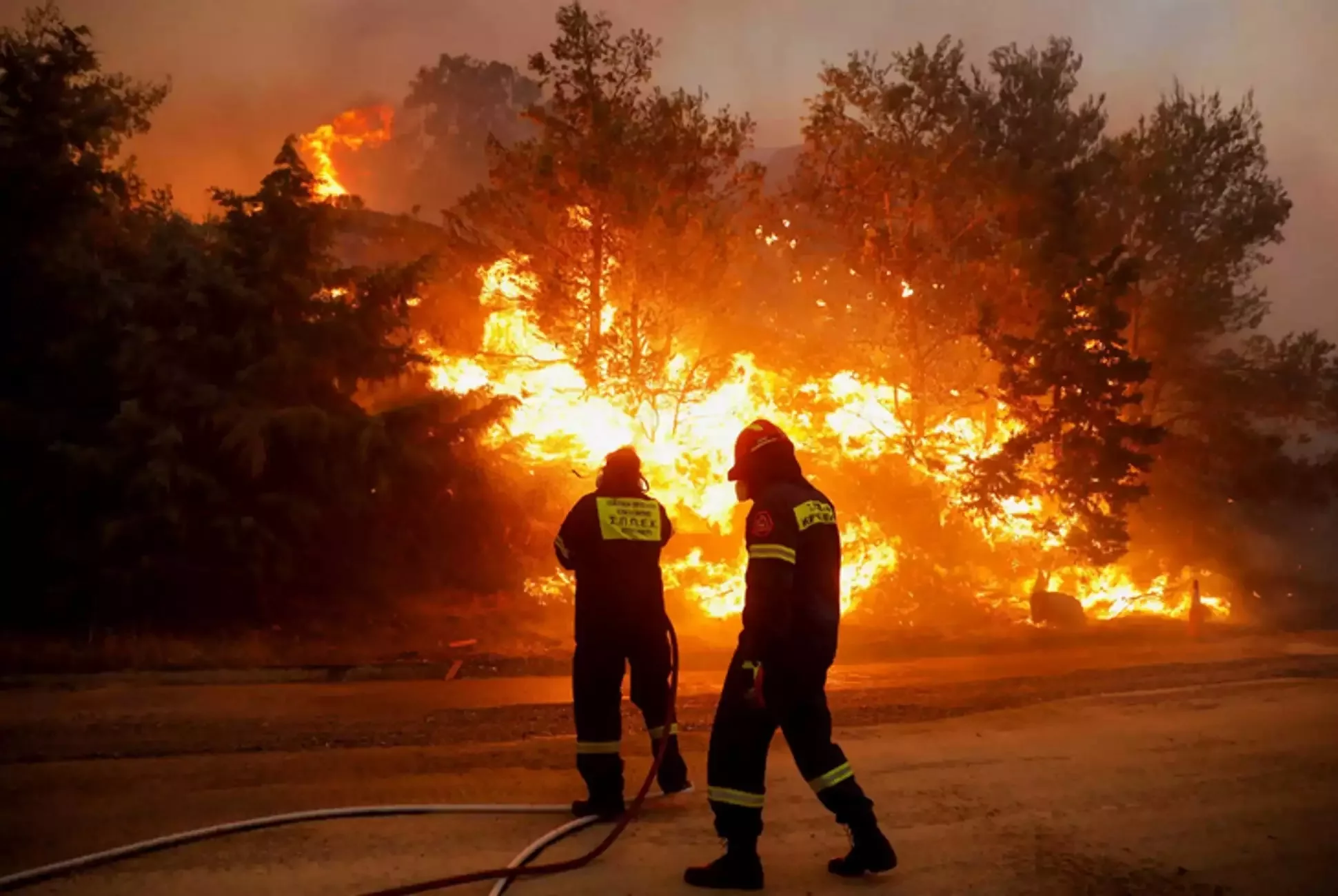 A hearth broke out in Ioannina and Kavala – Aerial means are being deployed
 – 2024-06-17 22:16:16