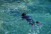 Πάτρα: Τι προηγήθηκε της εξαφάνισης του αγνούμενου ψαροντουφεκά
