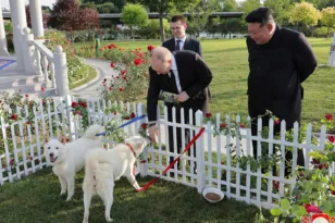 Κιμ Γιονγκ Ουν: Δώρισε στον Πούτιν ένα ζευγάρι σκύλους της ράτσας pungsan