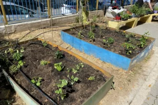σχολεία δημιουργία κήπων