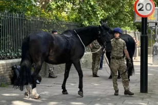 Λονδίνο: Στρατιωτικά άλογα ξέφυγαν και έτρεχαν στο κέντρο της πόλης