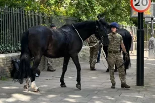Ξέφυγαν ξανά άλογα του στρατού στο κέντρο του Λονδίνου ΒΙΝΤΕΟ