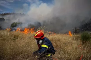 Ηλεία: Συνελήφθη ένα άτομο για πρόκληση της φωτιάς στην περιοχή Ντόμπρινο