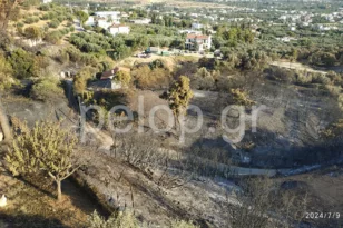 Φωτιά στην Πάτρα: Η επόμενη μέρα στα καμένα